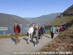 Weinwanderung am Mittelrhein, Foto Nr. 16, © 2004 WHO