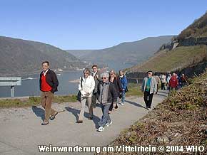 Weinwanderung am Mittelrhein, Foto Nr. 16,  2004 WHO